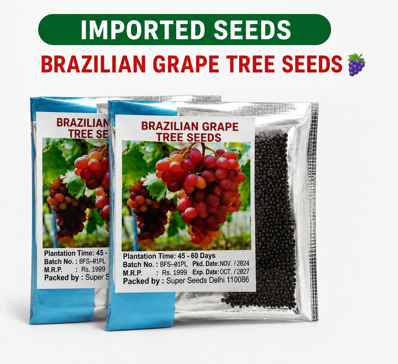 BRAZILIAN GRAPE TREE SEEDS PACK OF 2 Main image
